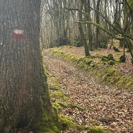 Aterbe Leintz-Gatzaga