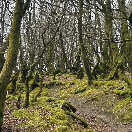 Aterbe * Leintz-Gatzaga