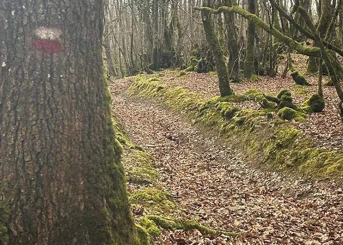 Aterbe Leintz-Gatzaga