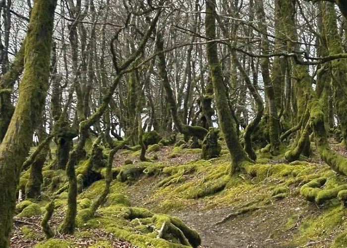 Aterbe * Leintz-Gatzaga